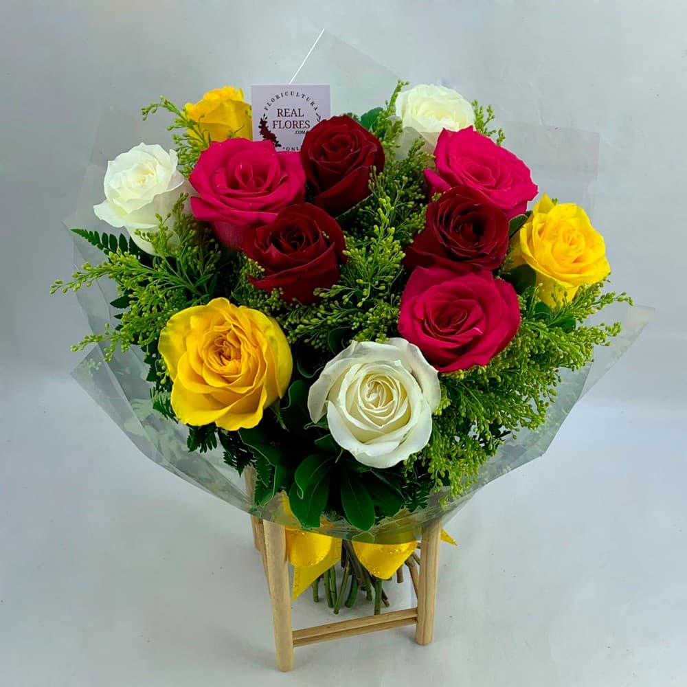 Rosas Coloridas